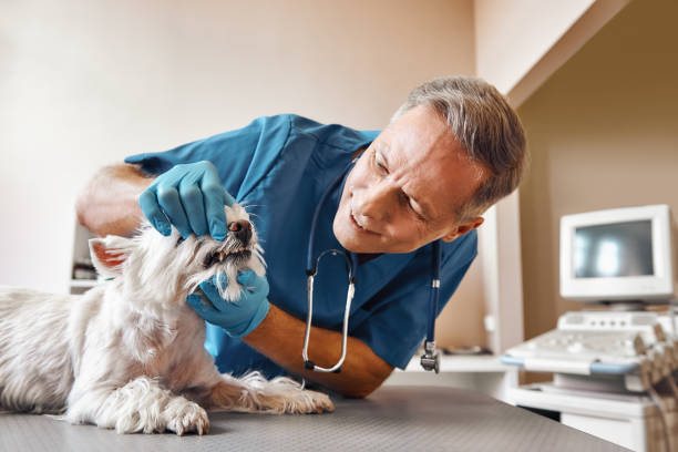 Best Urgent Dental Care in Cozad, NE
